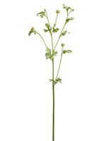 35" Scabiosa Bud Spray  Green (pack of 12)