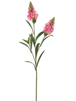 Pink Cerise