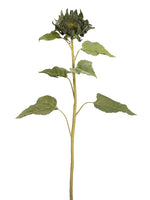 32" Sunflower Bud Spray  Green Brown (pack of 12)