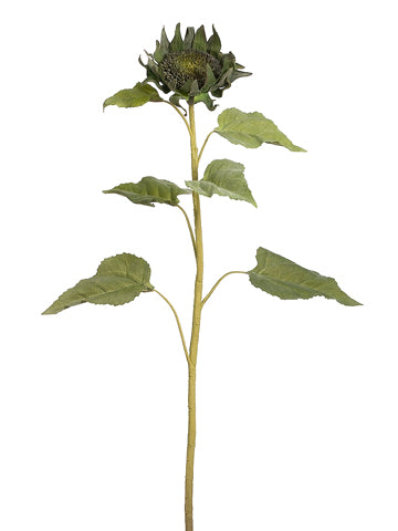 32" Sunflower Bud Spray  Green Brown (pack of 12)