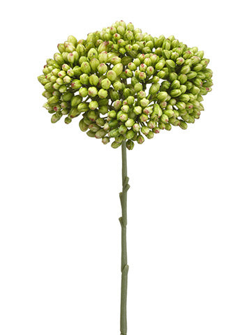 12.5" Sedum Spray  Green (pack of 12)