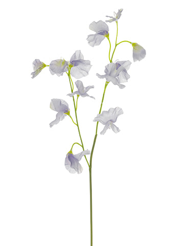 18" Sweetpea Spray  Lavender (pack of 12)