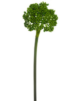 19" Sedum Spray  Green (pack of 12)