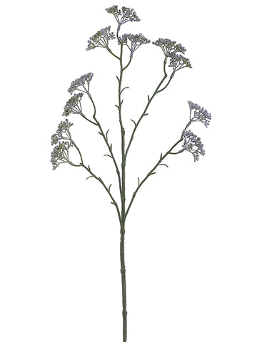 25" Sedum Spray  Blue Green (pack of 12)