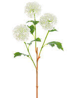 24" Snowball Spray  White (pack of 12)