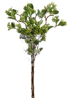 27" Sedum Bundle x3  Green (pack of 12)