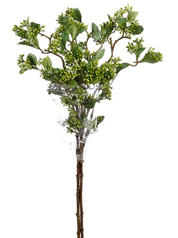 27" Sedum Bundle x3  Green (pack of 12)