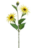 Light Yellow