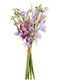 Lavender Boysenberry