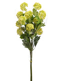 Yellow Green