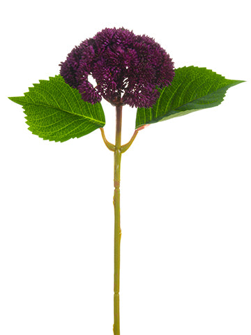 15" Sedum Stem  Violet (pack of 24)