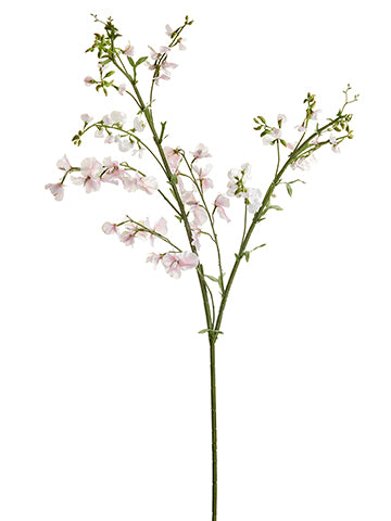 Pink Soft