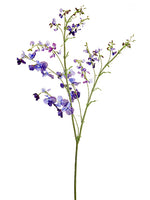 Purple Violet