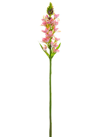 Pink Cream