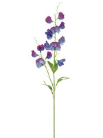 Purple Blue