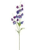 Purple Blue