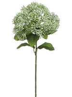 Green Gray