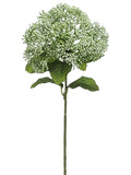 Green Gray
