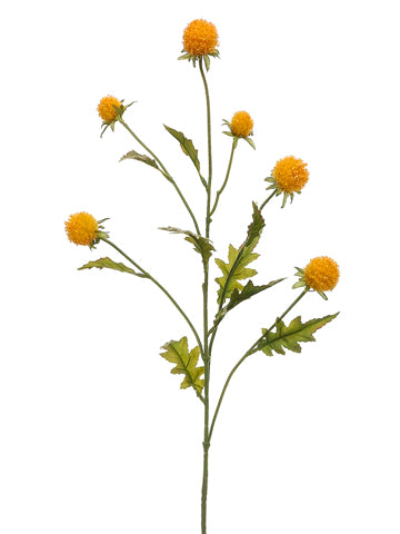 25" Straw Flower Spray x6  Yellow (pack of 12)