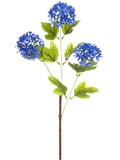 Blue Helio