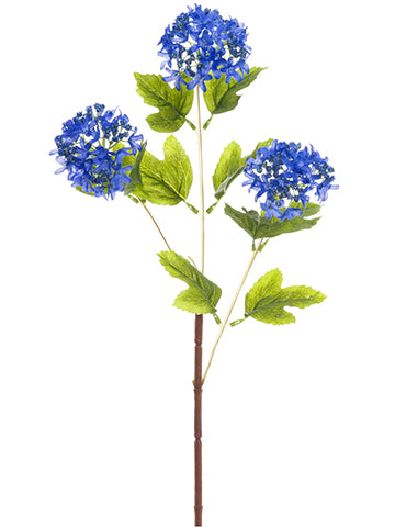 Blue Helio