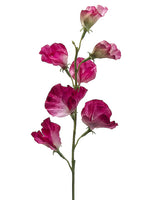 Two Tone Fuchsia
