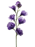 Dark Lavender