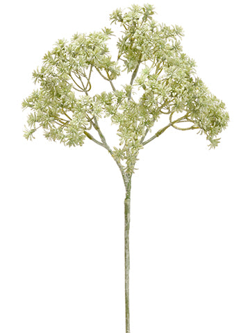 14" Sedum Spray  Green Whitewashed (pack of 12)
