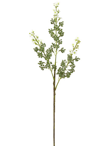 23" Blooming Sedum Spray  White Green (pack of 12)