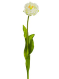 White Green