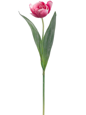 Fuchsia Pink