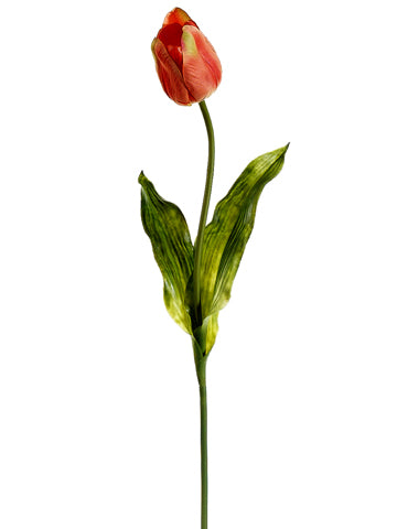 24" Tulip Spray  Apricot (pack of 12)