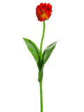 Red Tomato