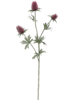 Burgundy Rust