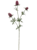 Burgundy Rust