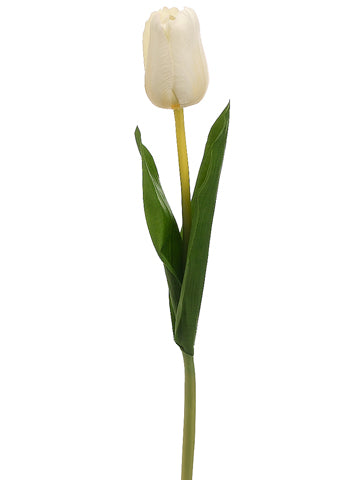Cream White