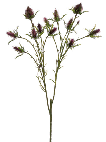 Mauve