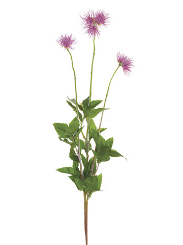 Liliac