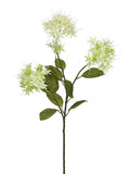 Cream Green