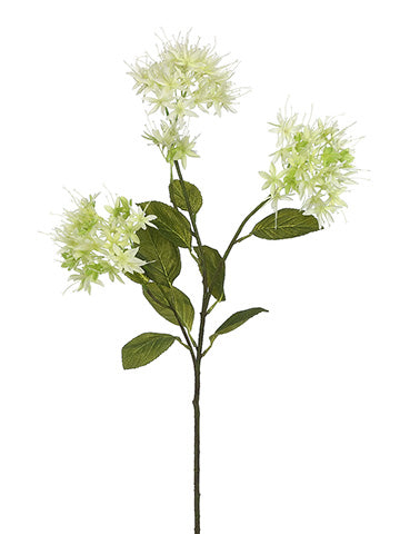 Cream Green