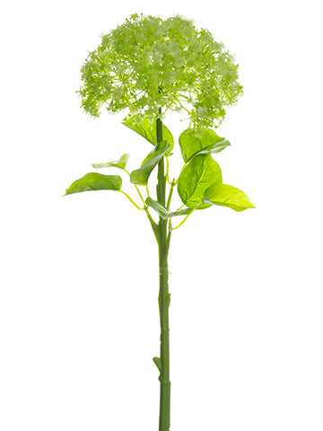 Green Cream