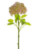 Pink Green