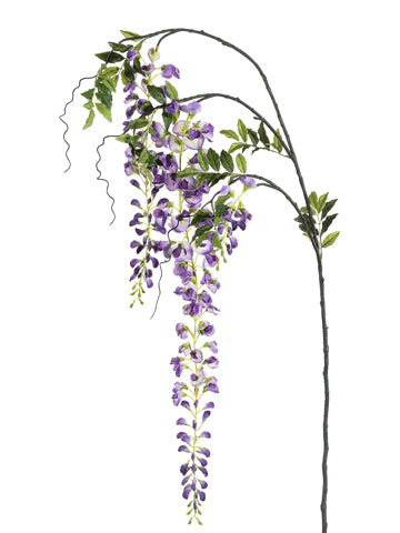 Two Tone Lavender
