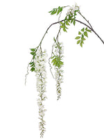 69" Wisteria Spray  White (pack of 12)