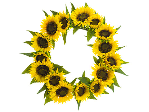 20" Sunflower Wreath  Yellow (pack of 2)