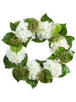 24" Hydrangea/Sedum Wreath  White (pack of 2)