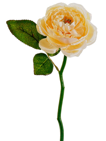 11.5" Jewel/Glitter Rose Stem  Beige (pack of 36)