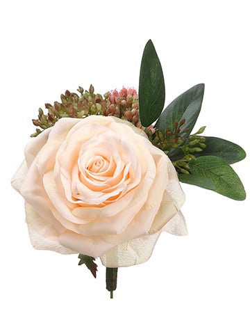 5.5" Rose/Sedum Boutonniere  Peach Green (pack of 12)