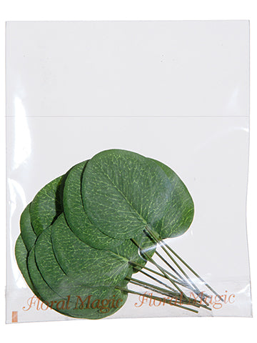 6"Wx5"L Eucalyptus Corsage Leaves x12 in Bag Green (pack of 24)