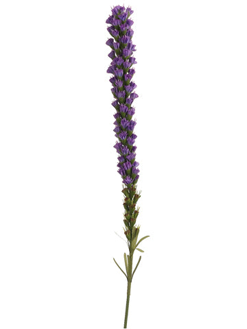 27" Liatris Spray  Purple Blue (pack of 1)